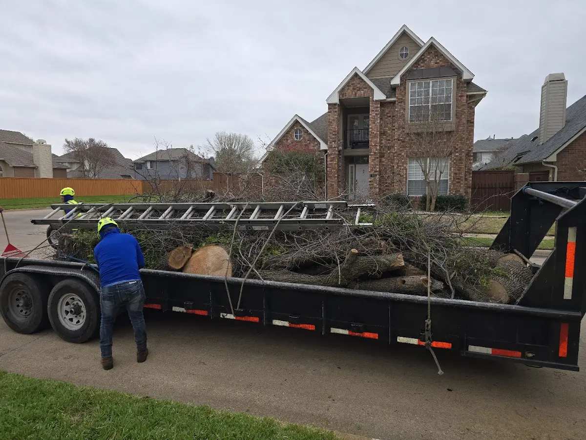 Expert Tree Removal with proper safety equipment in Crane Hill